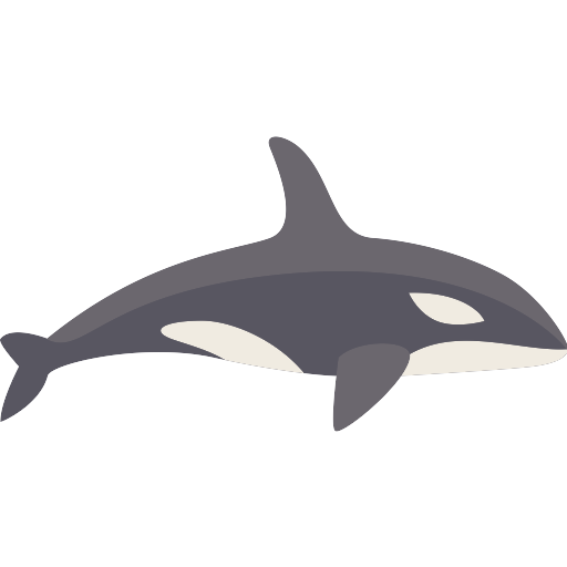 Orca Vector SVG Icon - PNG Repo Free PNG Icons