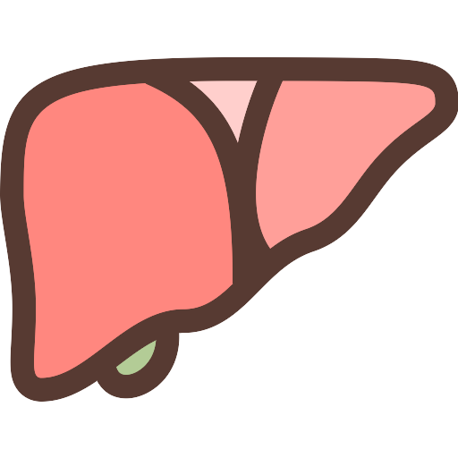 Liver Vector SVG Icon - PNG Repo Free PNG Icons