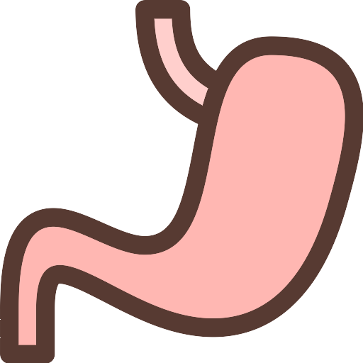 Stomach Vector SVG Icon - PNG Repo Free PNG Icons