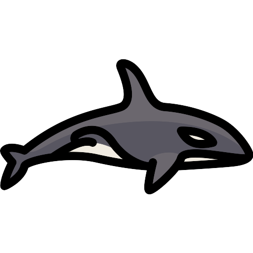 orca vector svg icon 4 png repo free png icons orca vector svg icon 4 png repo