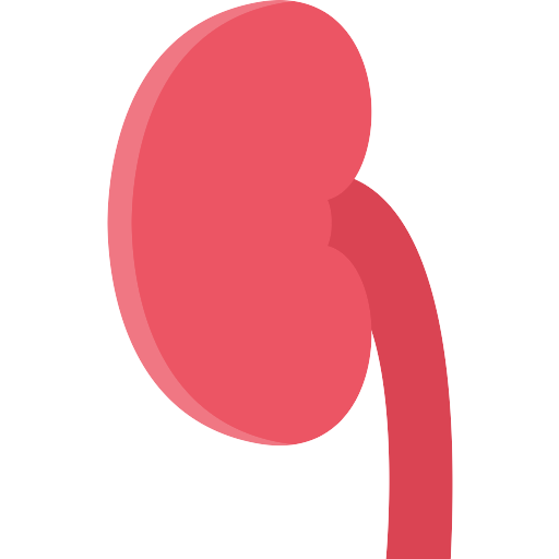 kidney vector svg icon 28 png repo free png icons kidney vector svg icon 28 png repo