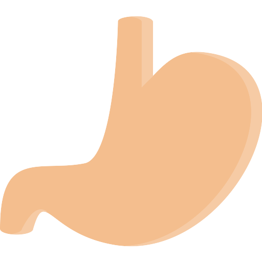 Stomach Vector Svg Icon - Png Repo Free Png Icons