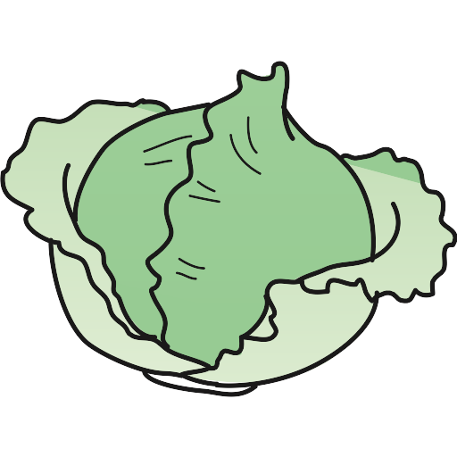 Cabbage Vector Svg Icon - Png Repo Free Png Icons