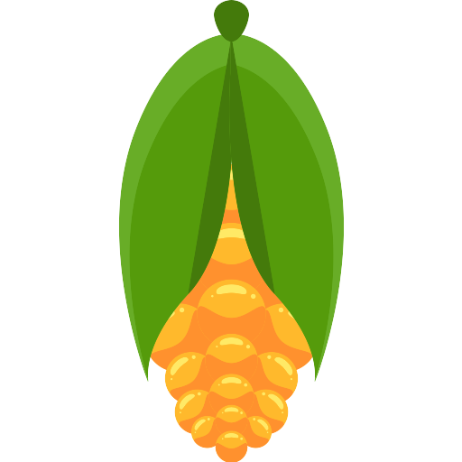 Corn Vector Svg Icon Png Repo Free Png Icons 8348