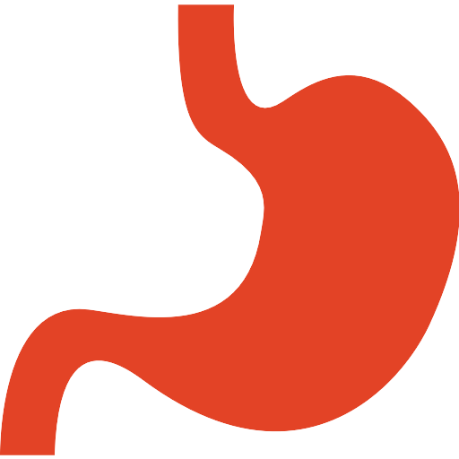 Stomach Vector SVG Icon PNG Repo Free PNG Icons