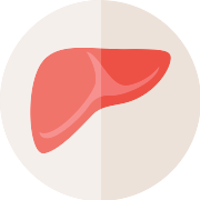 Liver PNG Icon