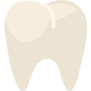 Premolar PNG Icon