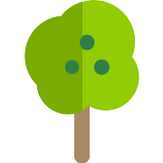 Fruit Tree PNG Icon