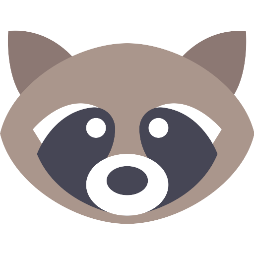 Raccoon Icons Aesthetic