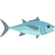 Tuna Fish PNG Icon