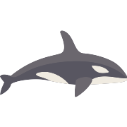 orca vector svg icon 3 png repo free png icons orca vector svg icon 3 png repo