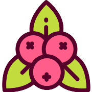 Mistletoe PNG Icon