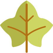 Leaf Season PNG Icon