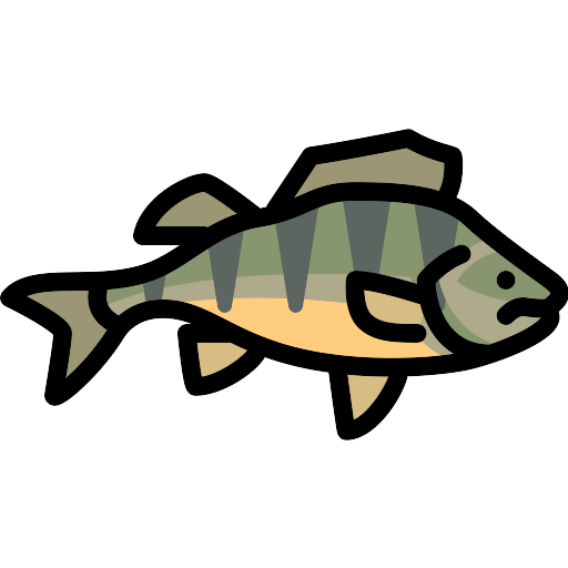 Download Fish Shape Vector Svg Icon Png Repo Free Png Icons