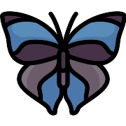 Butterfly Vector SVG Icon - PNG Repo Free PNG Icons