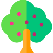 Fruit Tree Tree PNG Icon