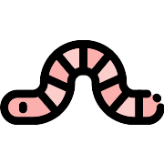 Worm PNG Icon