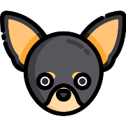 Chihuahua Chihuahua PNG Icon