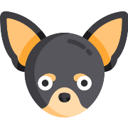 Chihuahua Dog PNG Icon