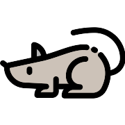 Rat PNG Icon