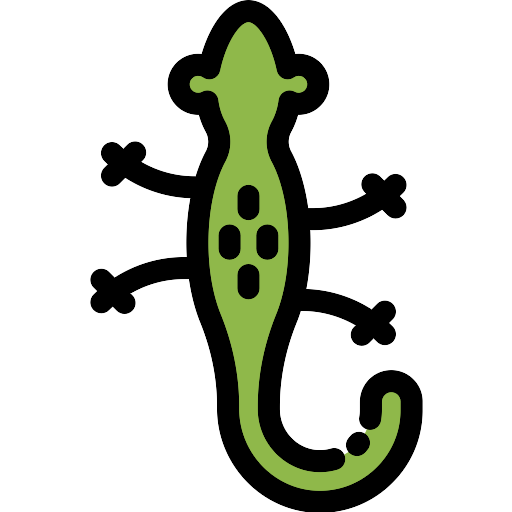 Salamander Vector Svg Icon Png Repo Free Png Icons