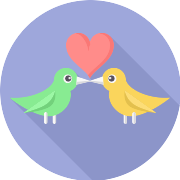 Love Birds PNG Icon
