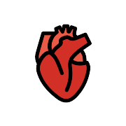 Anatomical Heart PNG Icon