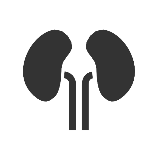 Kidneys Vector SVG Icon - PNG Repo Free PNG Icons