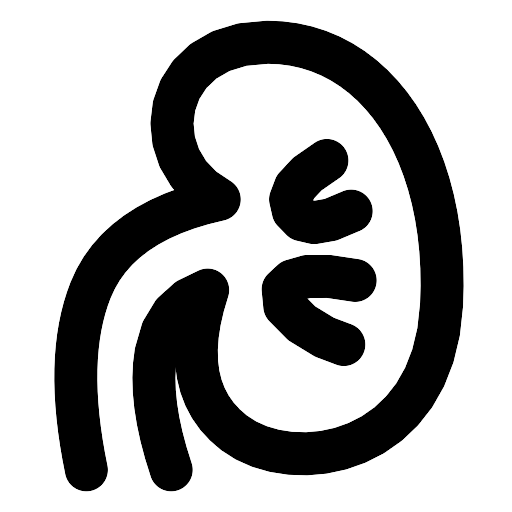 Renal Vector SVG Icon - PNG Repo Free PNG Icons
