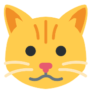 Cat Face PNG Icon