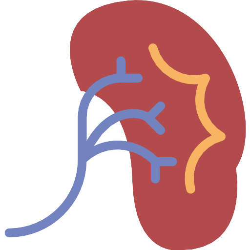 Kidney Vector SVG Icon - PNG Repo Free PNG Icons