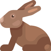 Rabbit PNG Icon